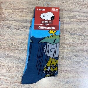 NEW Peanuts Charlie Brown Woodstock Socks